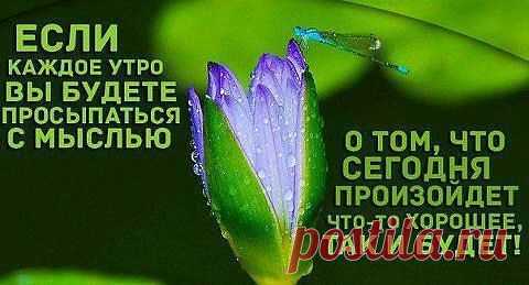 ❤➹➷ ❤Оτ ❤сердца к ❤сердцу ❤➹➷ ❤
❤➹➷ ❤Алёна Я ℓ٥ﻻ ﻉ√٥υ❤➹➷ ❤