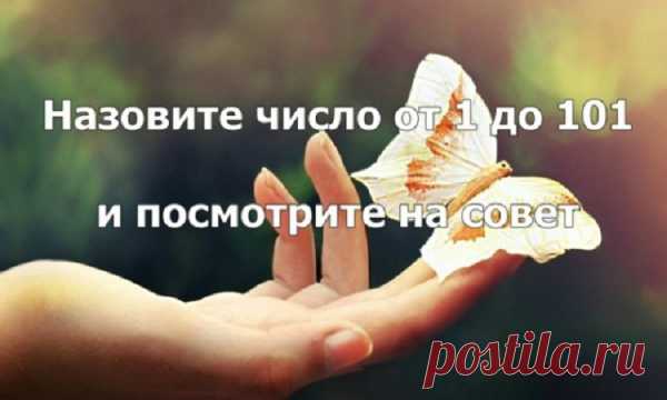 Назовите число от 1 до 101 и посмотрите на совет. Ну прикольно же. Совет в тему!