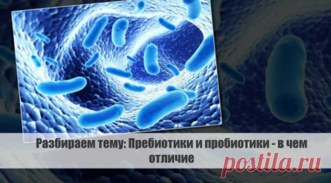 Разбираем тему: Пребиотики и пробиотики - в чем отличие