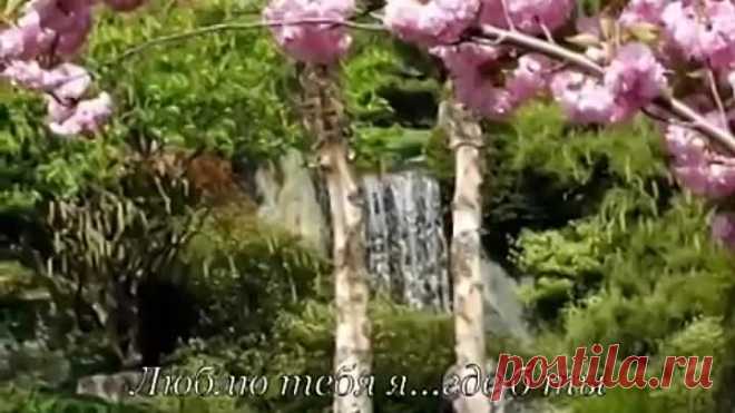Самому дорогому и любимому человеку!!!