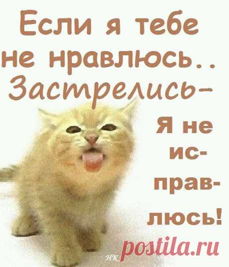 21e0dfcc920eaa267d1f6514623277b1.jpg (518×604)