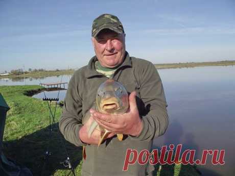 Пьяная прикормка для крупных карасей, лещей и карпов | Блоги о даче и огороде, рецептах, красоте и правильном питании, рыбалке, ремонте и интерьере