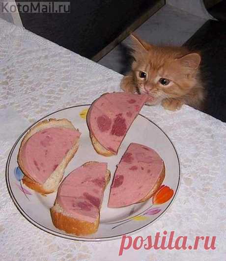 Не правильные бутерброды)