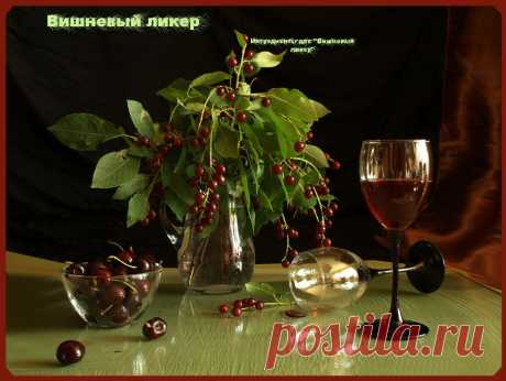 Рецепт вишневого ликера .Плейкаст «Вкус лета.» Автор плейкаста: marfil50. Тема: Кулинария, рецепты. Когда: 29.05.2013.