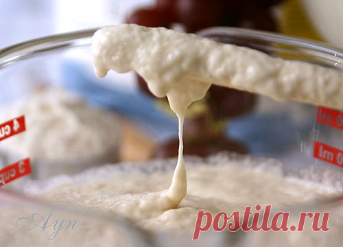 Закваска на винограде | Мои Кулинарные Зарисовки