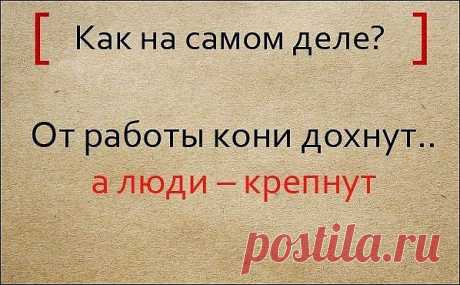 Народная мудрость