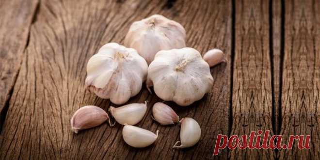 8 растений, которые помогут устранить внутренних паразитов!