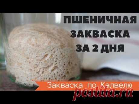 САМАЯ БЫСТРАЯ ПШЕНИЧНАЯ ЗАКВАСКА по Калвелю за 2,5 дня или 60 часов //  РЕЦЕПТ РАЙМОНДА КАЛВЕЛЯ
