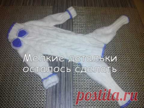 Вязаный спицами КОМБИНЕЗОН для СОБАКИ своими руками БЫСТРО ДЁШЕВО и СЕРДИТО