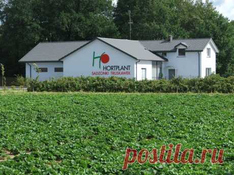 Hortplant - фотографии проиозводства