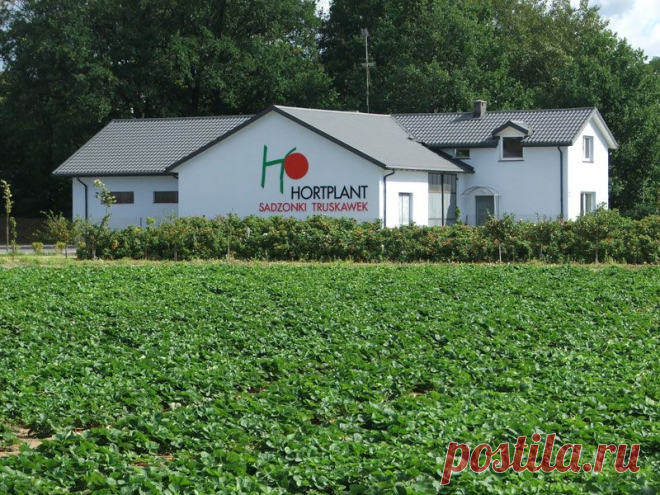 Hortplant - фотографии проиозводства