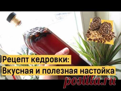 Кедровка: делаем вкусную и полезную настойку быстро!