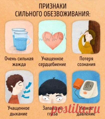 Обезвоживание у взрослых: симптомы, профилактика — Домашние заботы