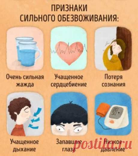 Обезвоживание у взрослых: симптомы, профилактика — Домашние заботы