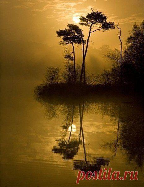 Осенние листья по ветру кружат,
Осенние листья в тревоге вопят:
"Всё гибнет,всё гибнет!Ты черен и гол,
О лес наш родимый,конец твой пришёл!"
Не слышит тревоги их царственный лес.
Под тёмной лазурью суровых небес
Его спеленали могучие сны,
И зреет в нём сила до новой весны.