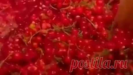 Желе на зиму