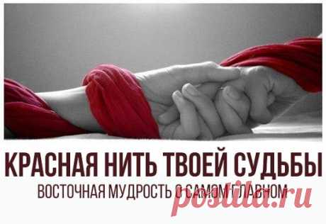 Красная нить: вот что значит этот судьбоносный символ
Нить — это символ непрерывности, ее оттенок — это цвет страсти, любви и красоты. Представь, что по бесконечным артериям нашего тела бежит кровь, наполняя жизнью каждую клеточку. Но среди паутины кровеносных сосудов есть совершенно особенный — тот, который проходит от сердца к мизинцу, связанный с локтевой артерией. На мизинце этот путь сердца не заканчивается, а преобразуется в красную нить, которая и ведет к сердцу другого человека.
Согласн