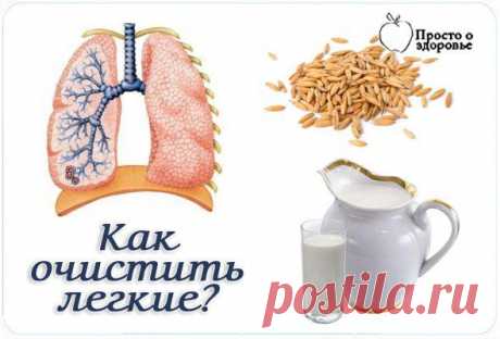 Как очистить легкие? | Женский журнал