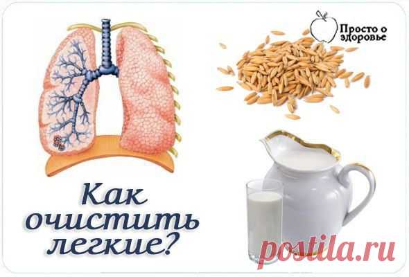 Как очистить легкие? | Женский журнал