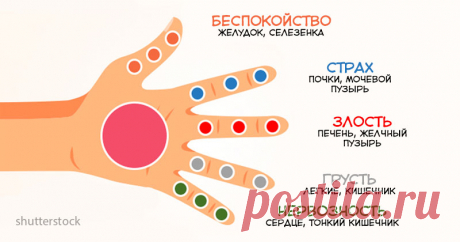 Каждый палец связан с 2 органами: Японский метод самоисцеления за 5 минут Японцы на протяжении веков использовали эффективные альтернативные методы лечения, и сегодня мы покажем один из них, который занимает всего 5 минут! Джин Шин Джитсу (Jin shin Jitsu) — древняя форма японского исцеляющего искусства, которая восстанавливает эмоциональный баланс с помощью стимуляции...