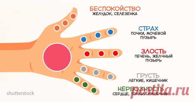 Каждый палец связан с 2 органами: Японский метод самоисцеления за 5 минут Японцы на протяжении веков использовали эффективные альтернативные методы лечения, и сегодня мы покажем один из них, который занимает всего 5 минут! Джин Шин Джитсу (Jin shin Jitsu) — древняя форма японского исцеляющего искусства, которая восстанавливает эмоциональный баланс с помощью стимуляции...