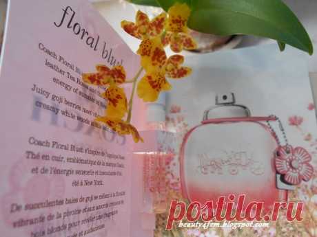 Coach Floral Blush: отзывы и описание аромата или скромное очарование годжи