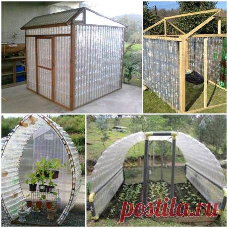 Теплицы из пластиковых бутылок