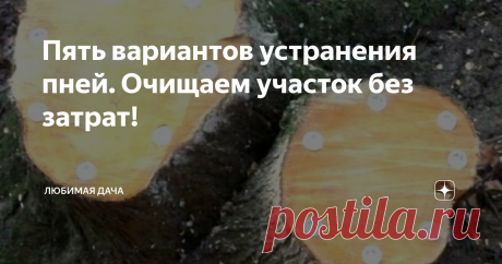 Пять вариантов устранения пней. Очищаем участок без затрат! Пни в саду порой бывают очень к месту. Так, к примеру, некоторые дачники используют остатки деревьев как садовые кашпо или иные элементы декора. Но если пней много, да и декор из них делать нет желания, то удаление становится обязательной мерой. Дабы не терять сил попусту, предлагаю посмотреть, как легко устранить проблему без всевозможных затрат! Вариантов собрала для вас много, выбираем кому