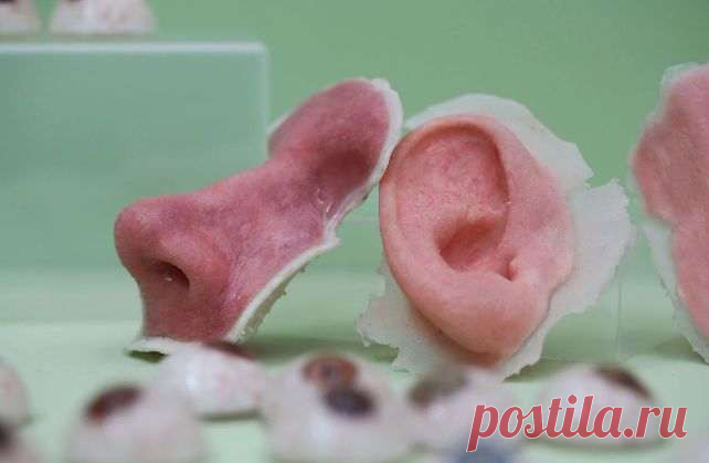 Технологии будущего, которые изменят наш мир в ближайшие 30 лет. Часть 3 | LivePosts — последние новости, полезные статьи, обзоры