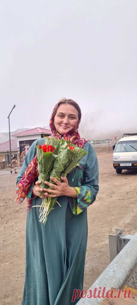 ЭНГ ЗЎР КАДР