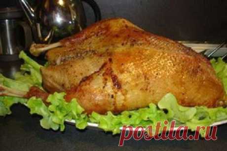 Главное об охоте - рецепты охотникам
Как приготовить гуся!
Гусь с вишнями,капустой или макаронами!