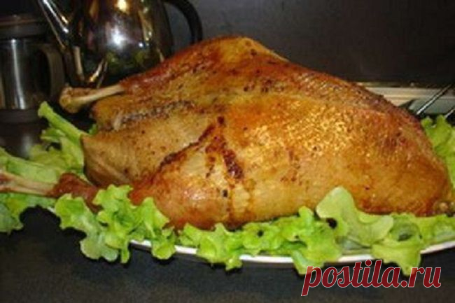 Главное об охоте - рецепты охотникам
Как приготовить гуся!
Гусь с вишнями,капустой или макаронами!