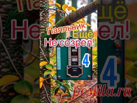 Сварочники не созрели ещё. Shorts 64