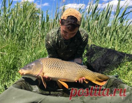 Поймал одного и того же карпа 2 раза за месяц. Рецепт прикормки с тех рыбалок