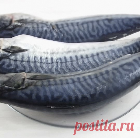 Самый простой способ соления рыбы в домашних условиях

Ингредиенты

скумбрия 3 и больше шт.
Рассол --
вода 1 л
соль 100 г (4 ст.л.)
сахар 1 ст.л.
лавровый лист 4 шт.
гвоздика 3 шт.
перец черный 5 горошин
перец душистый 5 горошин
#скумбрия