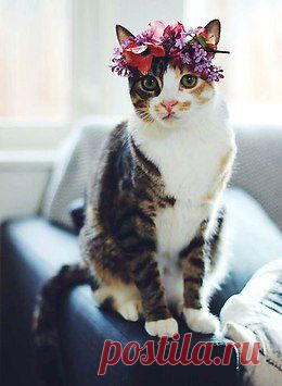 Берегите природу