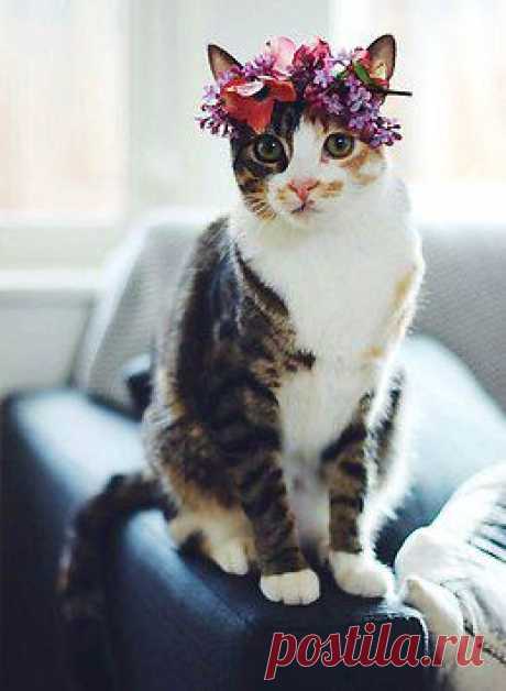 Берегите природу