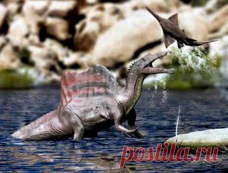 С суши обратно в воду: эволюция хищных динозавров, которые «решили» сменить среду обитания / Флора и фауна / iXBT Live