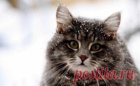 Мой Мир@Mail.Ru