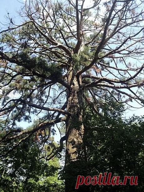 ???????? Фотография, картинки, изображения и сток-фотография без роялти. Image 24631093.