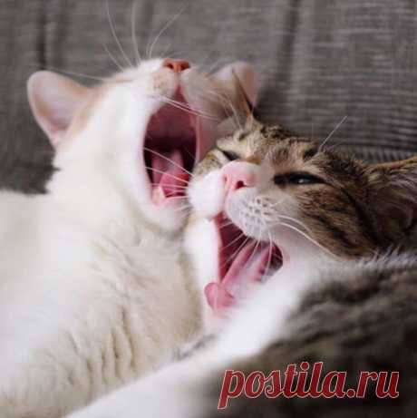Добрейшего утра)