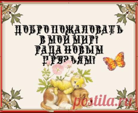 Дневник Белая_Наталия