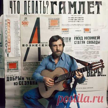 Трифонова поделилась неизвестными историями из жизни Высоцкого | 7дней.ru