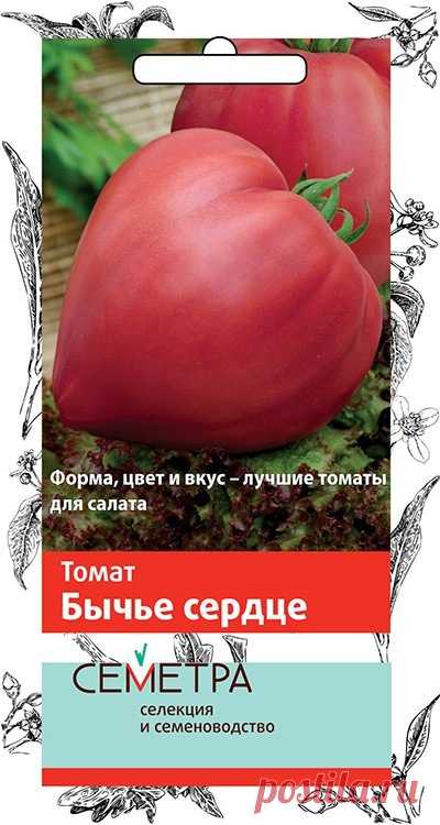 Томат. Бычье сердце (Семетра)