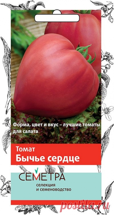 Томат. Бычье сердце (Семетра)
