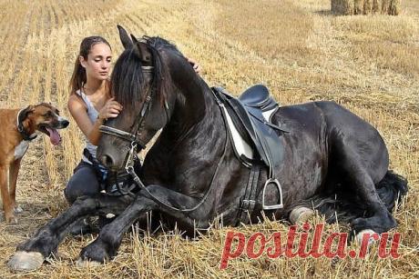 У КАМИНА С ДРУЗЬЯМИ.