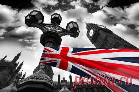 Образование. ENGLISH версия | Английский язык