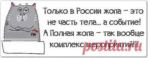 (7) Одноклассники