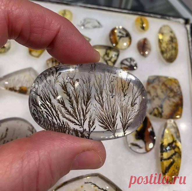 Камни