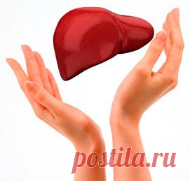 ПРОГНОЗ ЖИЗНИ С ЦИРРОЗОМ ПЕЧЕНИ